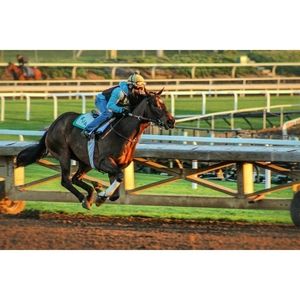 Meet your Posher, Manny